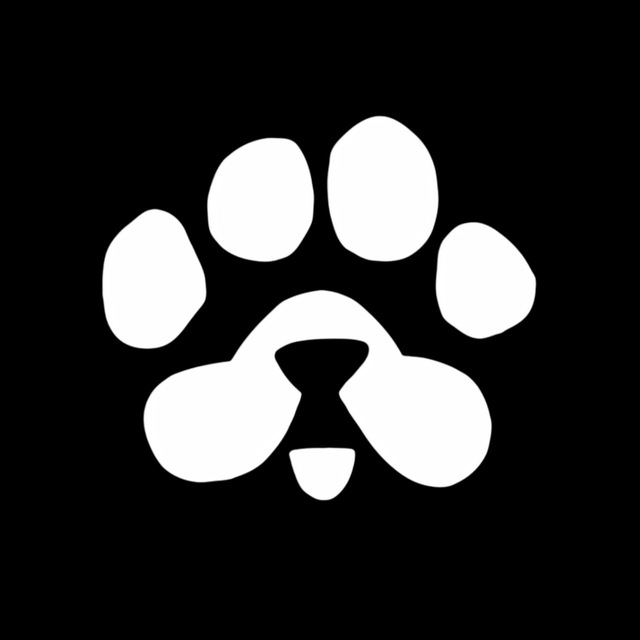 PAWS 领空投圣地